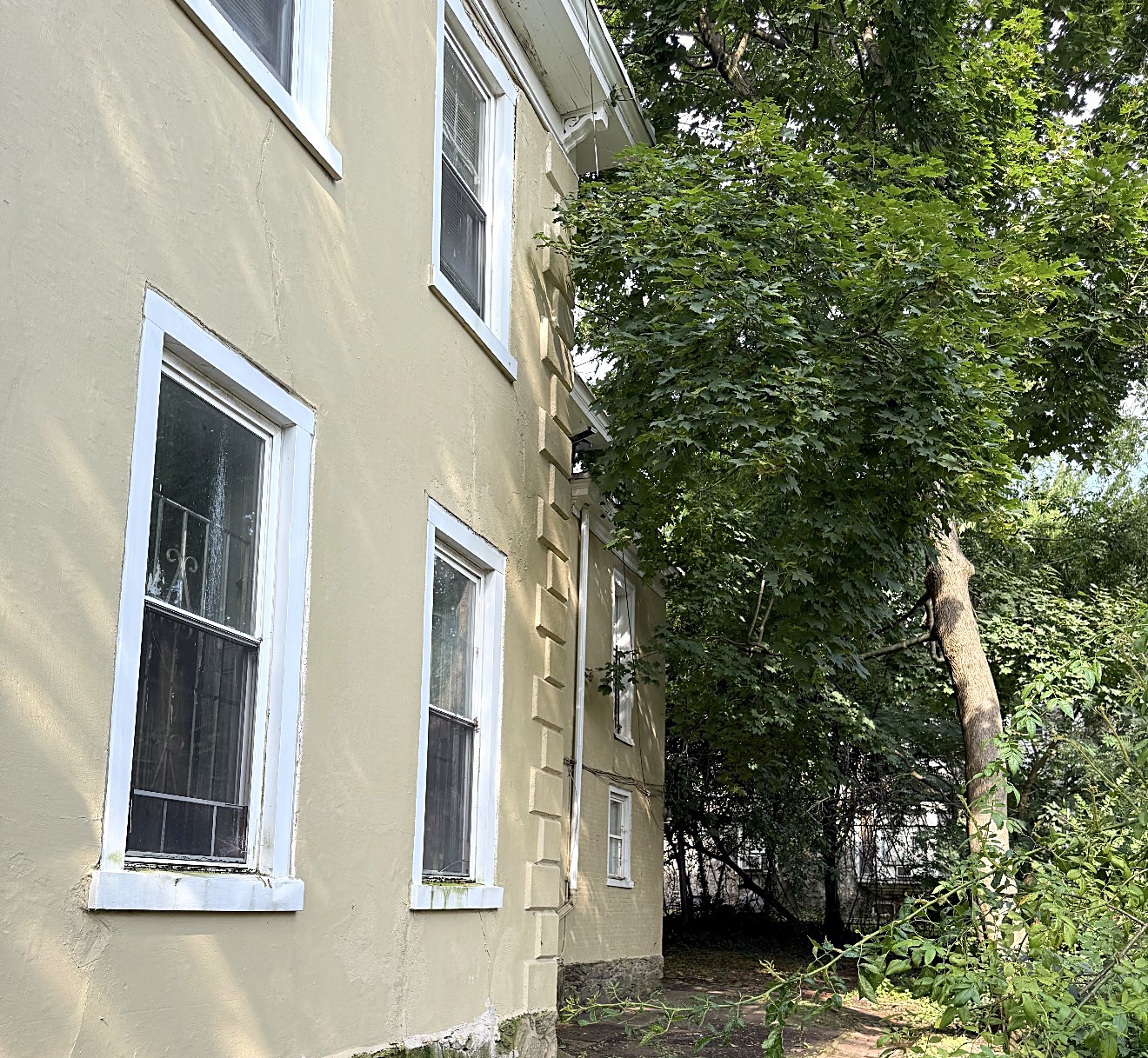 Side of the Yellow Building and its tree-shaded yard